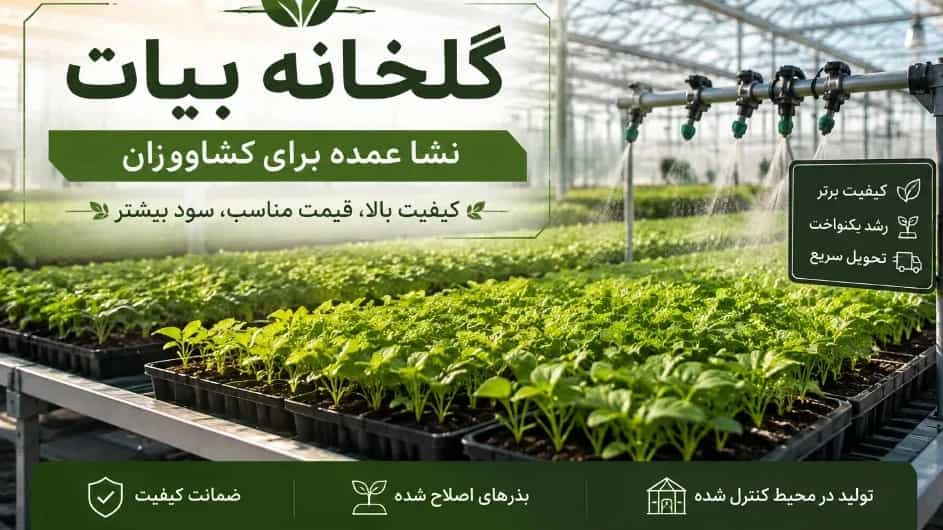 Bulk order guide for seedlings for farmers