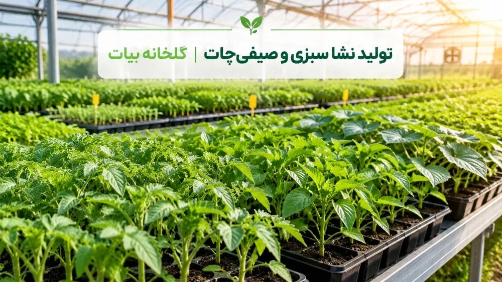 Vegetable and summer seedling production center in Shiraz Vegetable and summer seedling production center in Shiraz