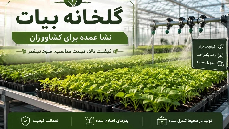 Bulk order guide for seedlings for farmers Bulk order guide for seedlings for farmers